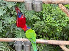 -南宫五洲植物乐园