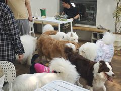 -小意思咖啡店(草桥店)