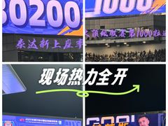 -泰达足球场