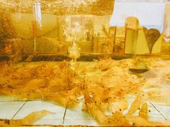 -荔枝楼酒家(员村东璟店)
