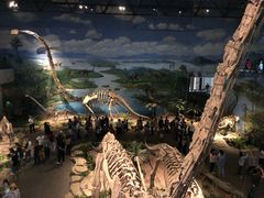 -自贡恐龙博物馆