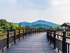 -石塘人家