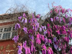 -上街里市集(悦喜客来广场店)