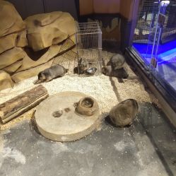 -未来动物城动物主题公园(大悦城店)