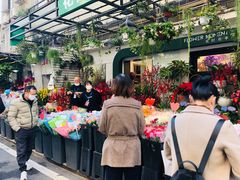 -溪岸路花鸟市场