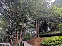 -广州国际生物岛山地公园揽胜园