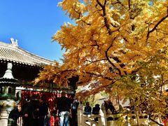 -红螺寺
