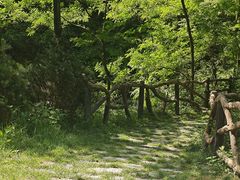 -秦岭终南山世界地质公园翠华山景区