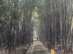 -终南山古楼观历史文化景区