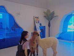 -Blue Concept Cafe&Farm·關於藍
