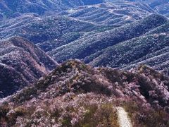 -妙峰山风景名胜区