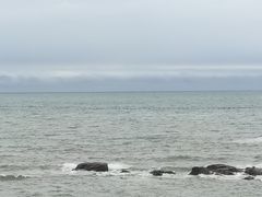 -海合安青岛极地海洋公园