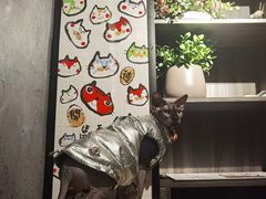 -吉屋烤肉(八宝街店)