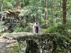 -天目山大树王景区