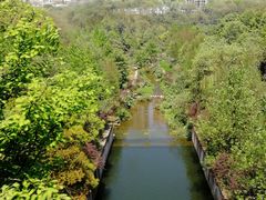 -重庆彩云湖湿地公园