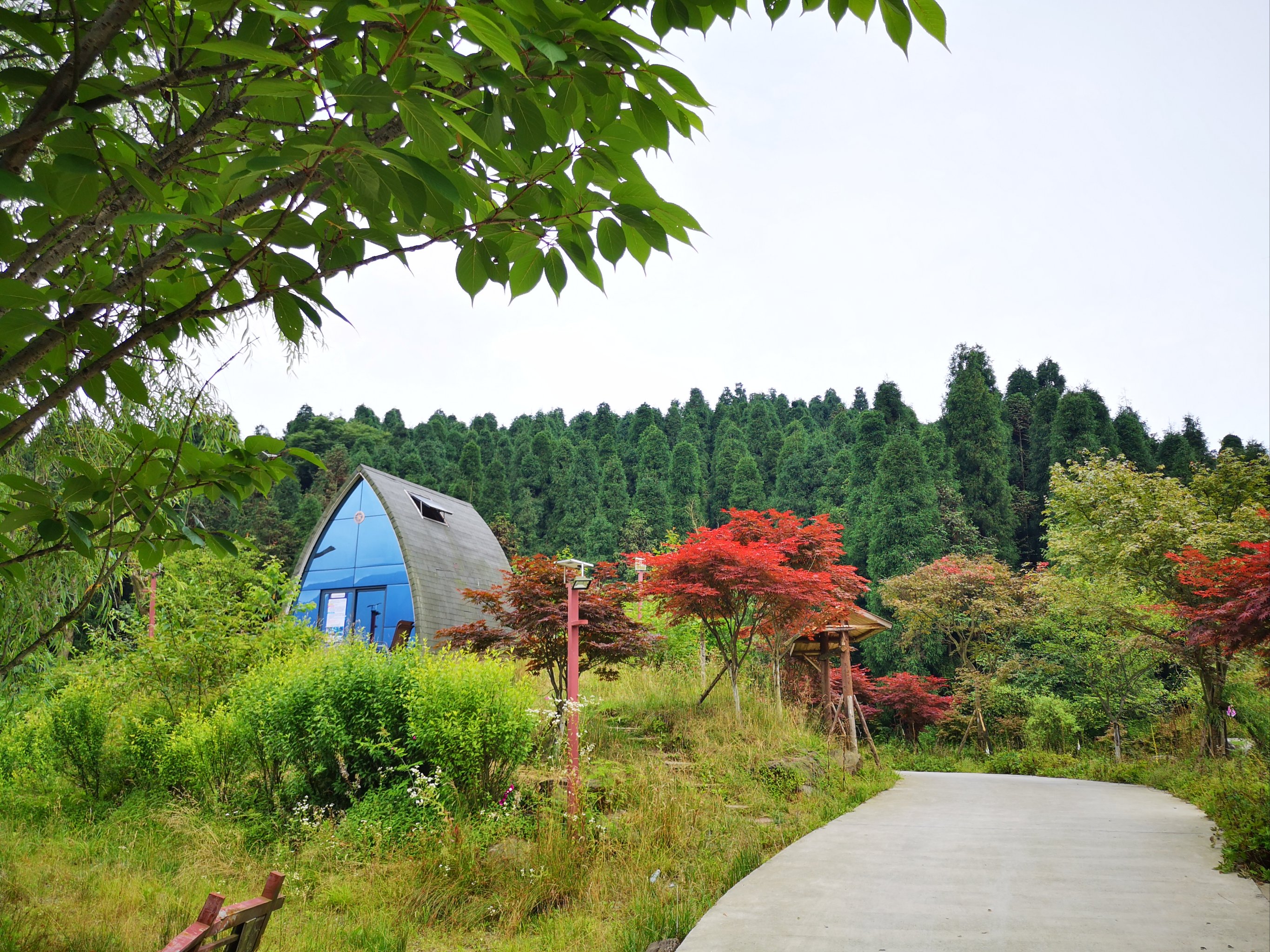 什邡红枫岭星空木屋图片