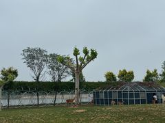 -渔岛海洋度假区