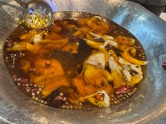 -沸腾鱼乡(知春路分店)