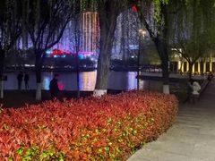-天鹅湖体育公园