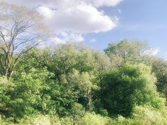 -沈阳辉山风景区