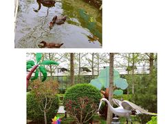 -南宫五洲植物乐园