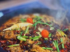 -老板恋上鱼(恒隆广场店)