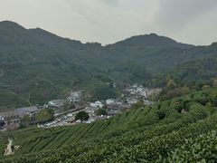 -龙井村