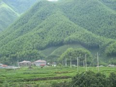 -安吉龙王山风景区