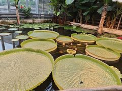 -国家植物园南园