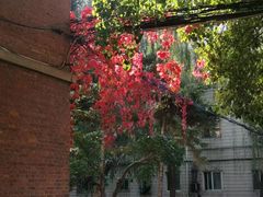 -辽宁大学(崇山校区)