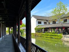 -鲁镇