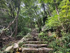 -大岭沟猕猴桃谷风景区
