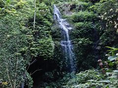 -莫里热带雨林景区