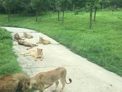 -西安秦岭野生动物园