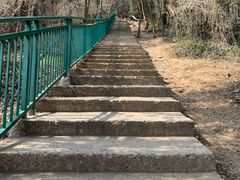 -大蜀山国家森林公园