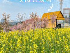 -刘伯温故里景区百丈漈
