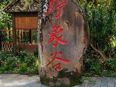 -野象谷景区