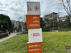 -神仙树公园