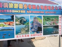 -杨梅坑