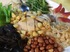 -鸽王世家(东华东路店)