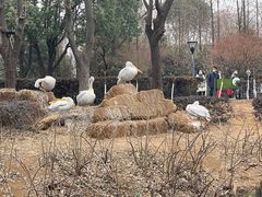 -无锡动物园·太湖欢乐园