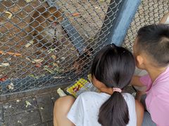 -长白岛森林公园