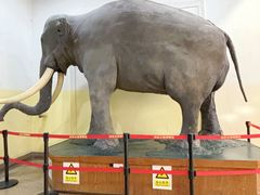 -国家自然博物馆