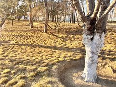 -元大都城垣遗址公园