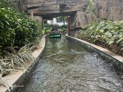 -南宫五洲植物乐园