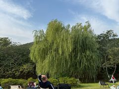-龙寺生态园