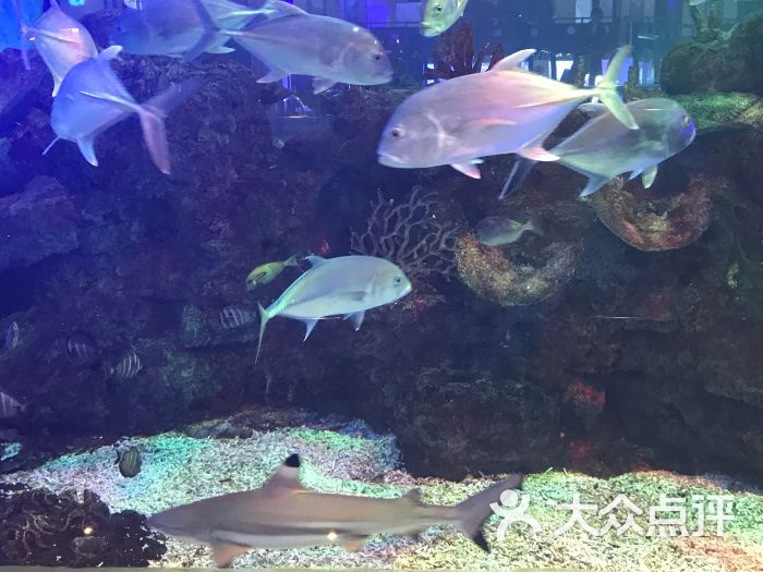 蛙烤(鎏嘉码头店)图片 - 第6张