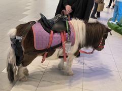 -王府井奥莱棋盘山小镇