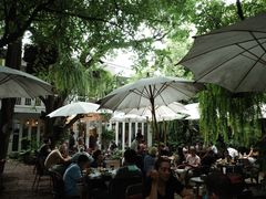 -Fern Forest Cafe