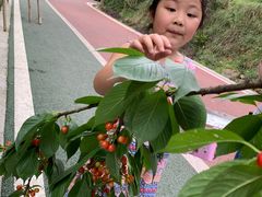 -樱桃山旅游景区